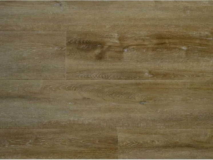 Castell 905 Premium 5021 Plank XL Dryback