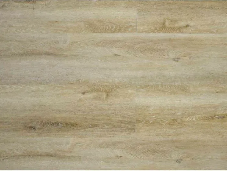 Castell 905 Premium 5023 Plank XL Dryback