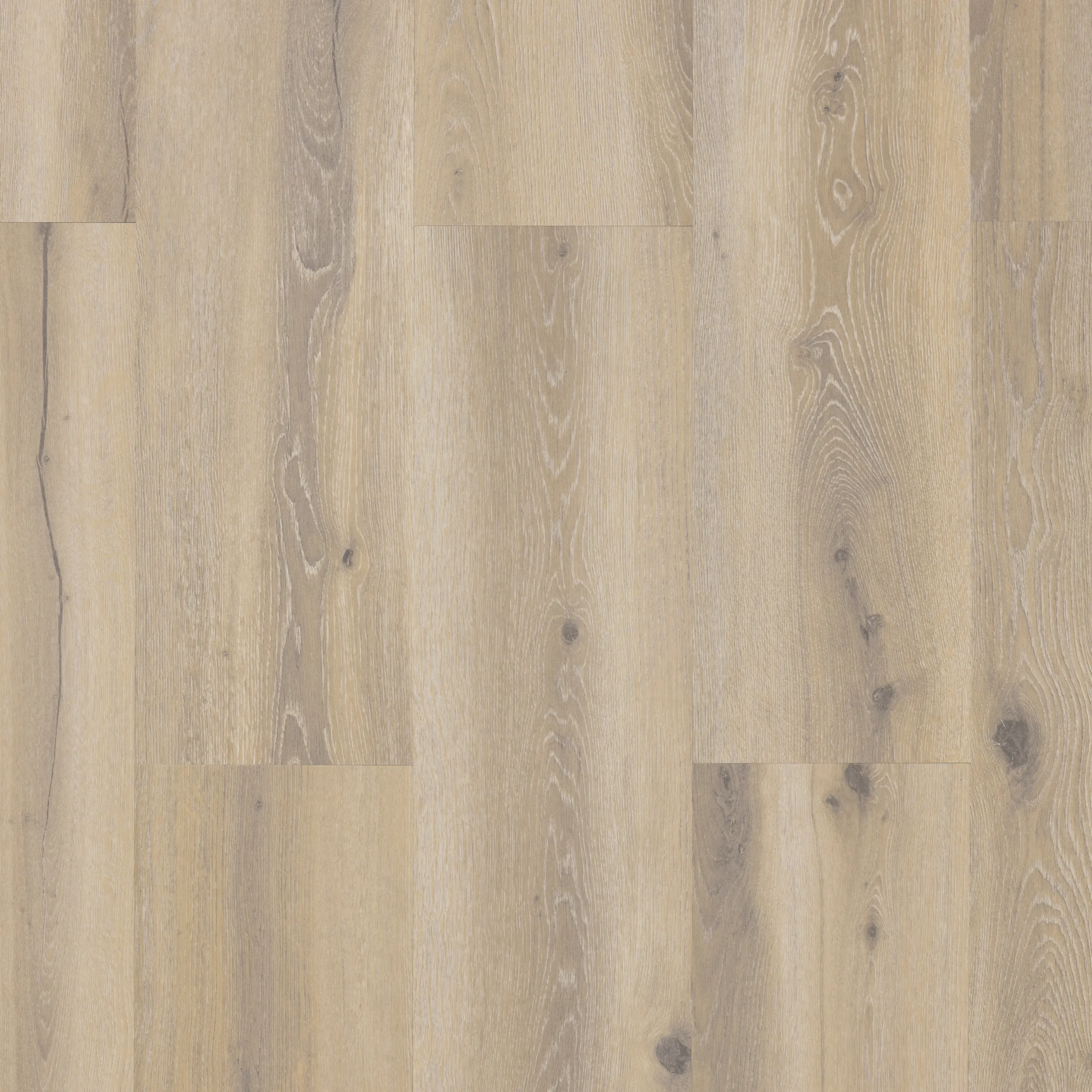 Castell Premium 871 029 Forest Nutmeg 24503029 Plank XL Dryback