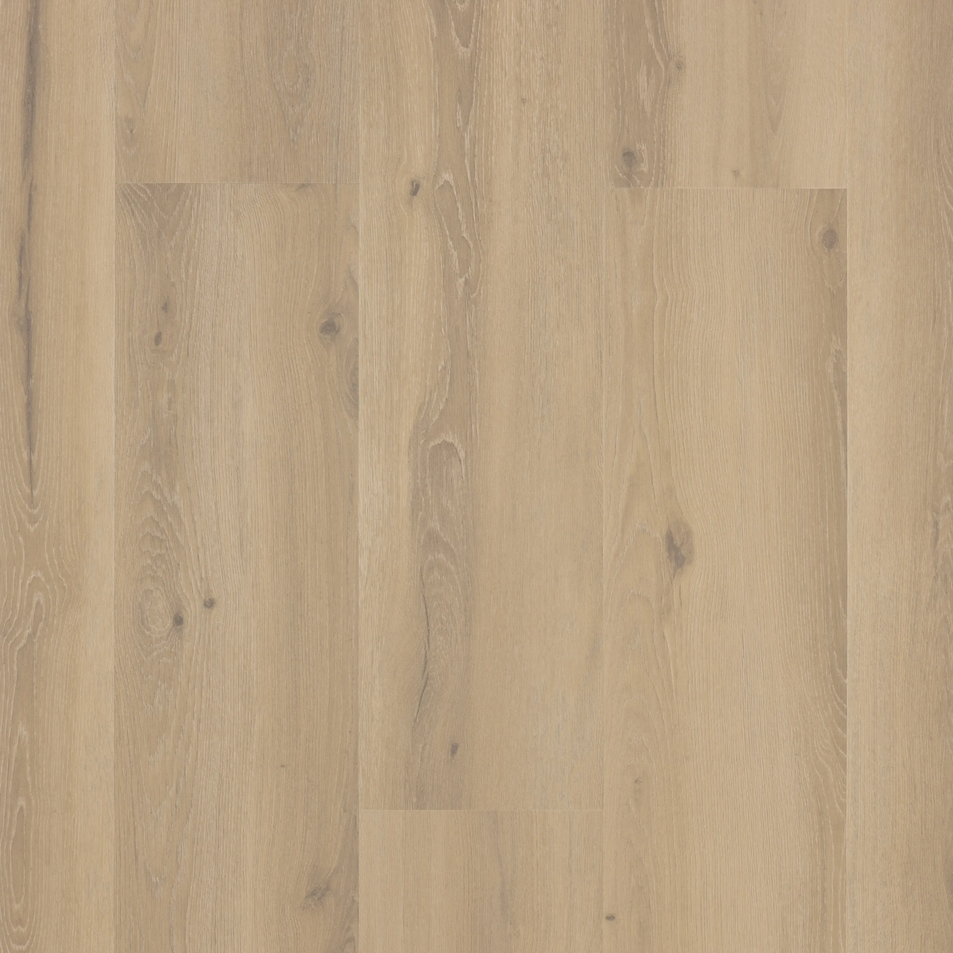 Castell Premium 871 202 Forest Sisal 24503202 Plank XL Dryback
