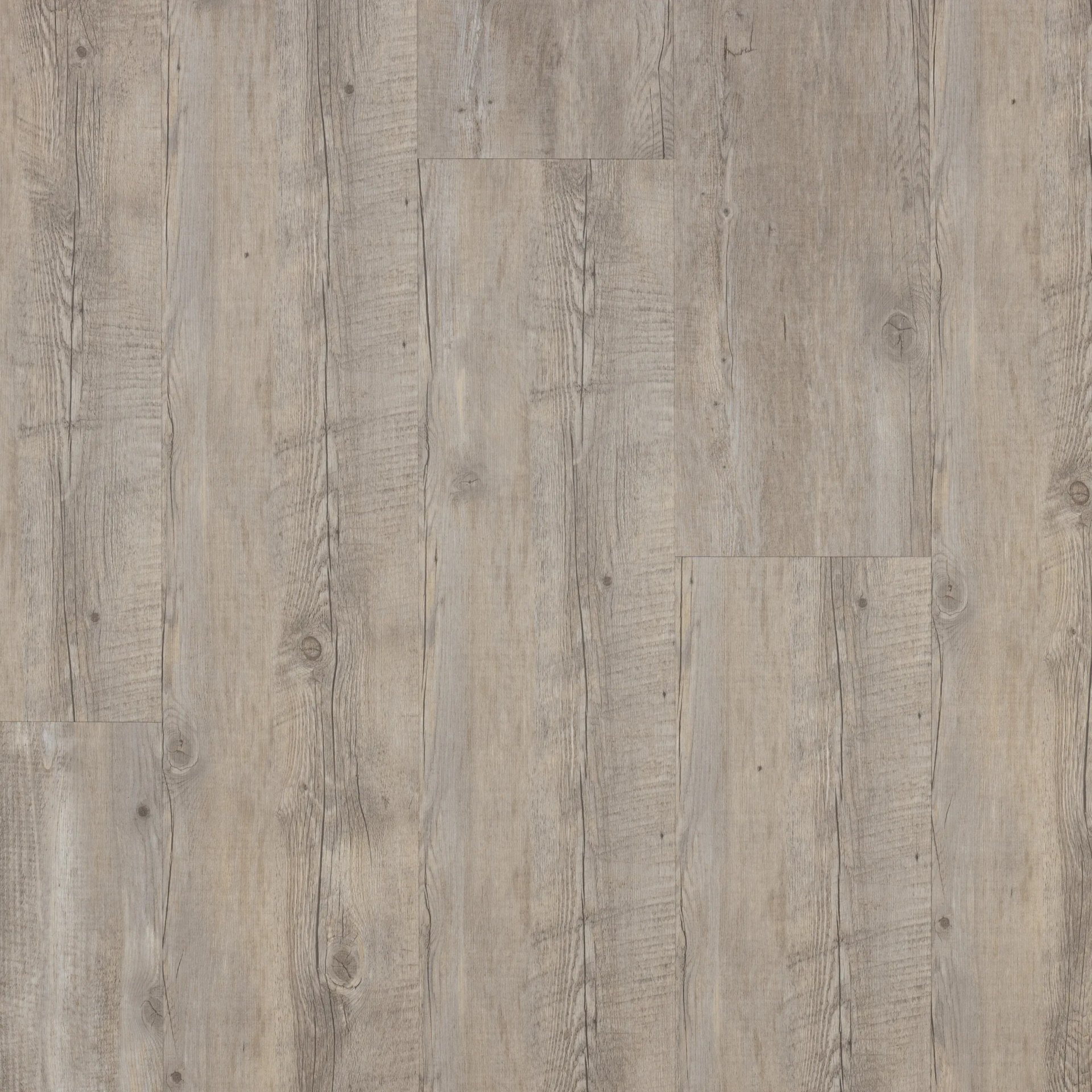 Castell Premium 872 0456 Ranch Plank XL Dryback