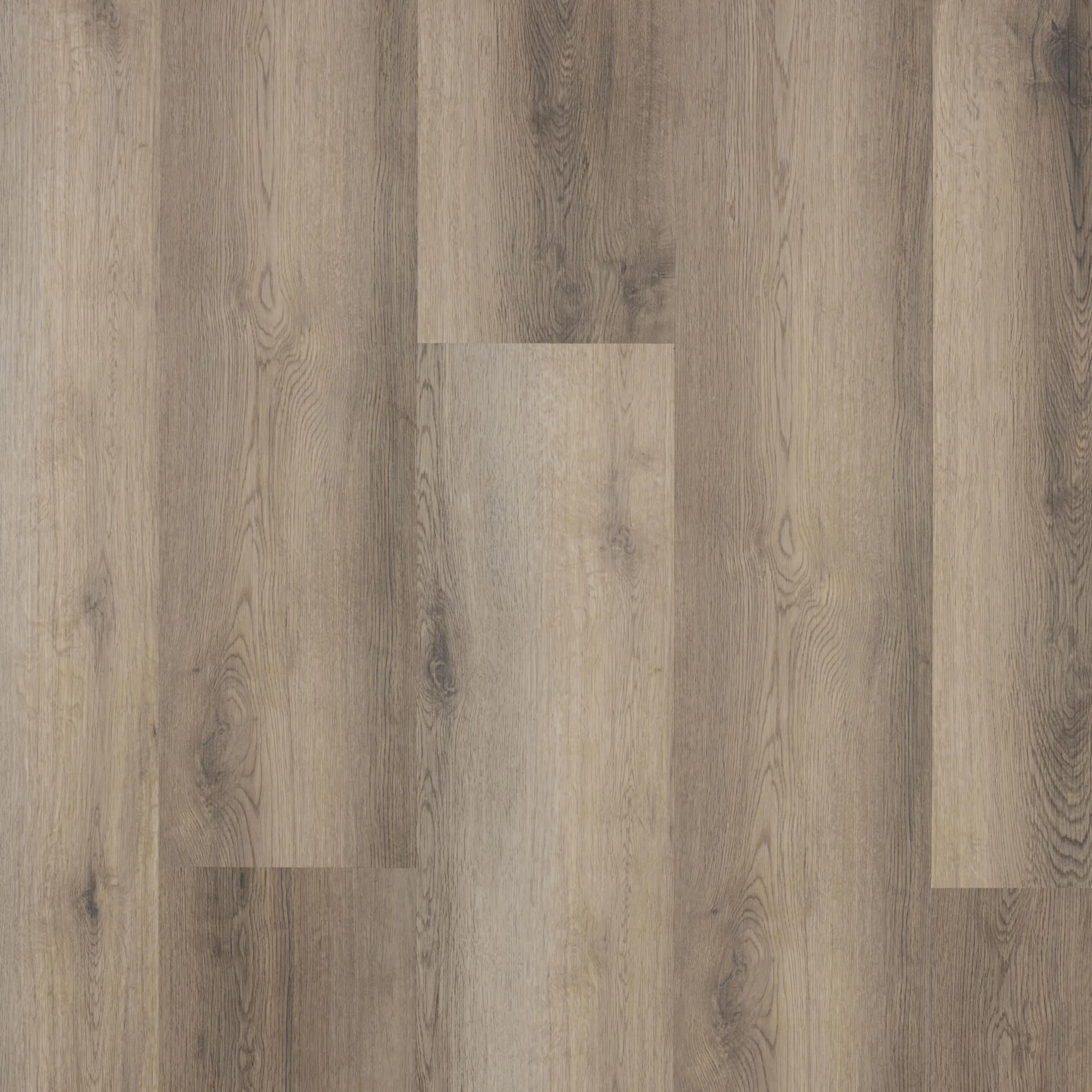 Castell Supreme 302 SPC 003 Salsa Taupe Plank Click