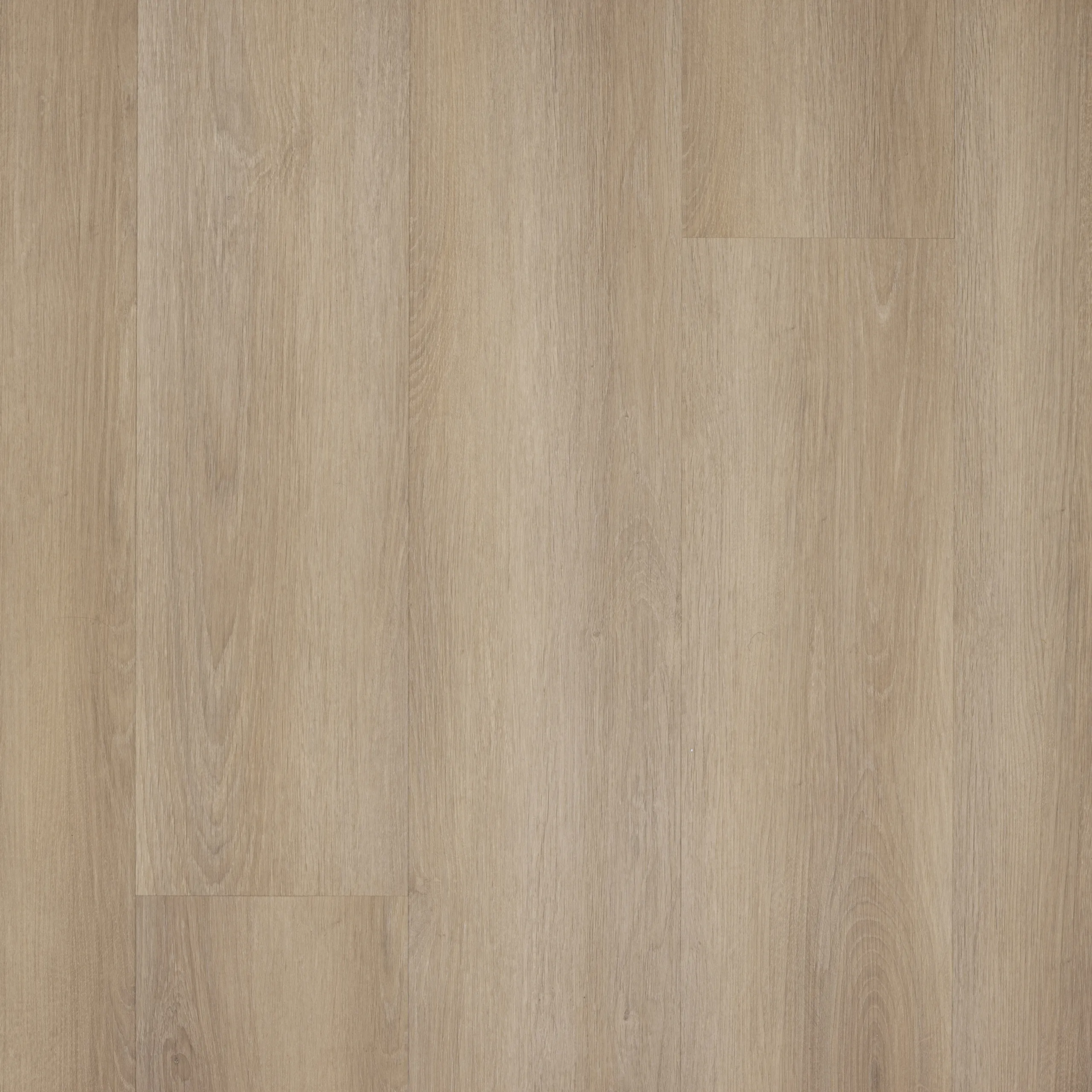 Castell Supreme 312 SPC 054 Honey Grey Plank Click