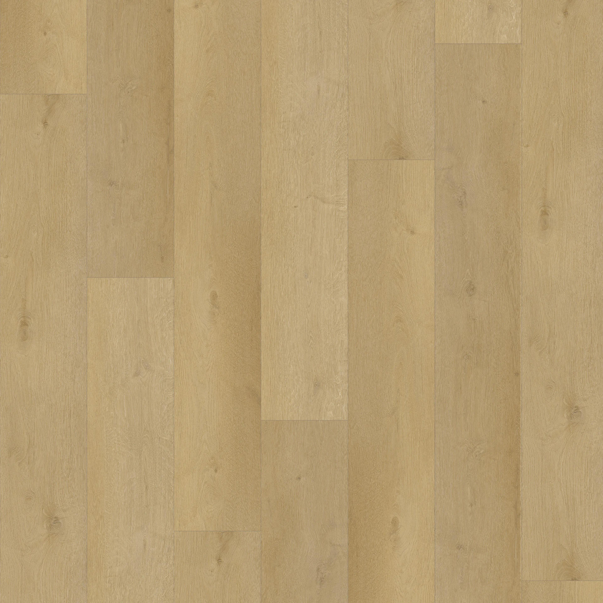 Castell Supreme 860 Planks XXL 135 Mokka Plank XL Dryback
