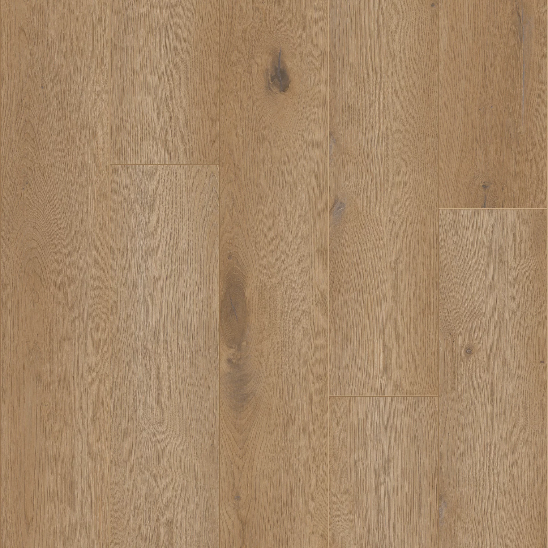 Coretec Authentics Moraine Plank XL Click