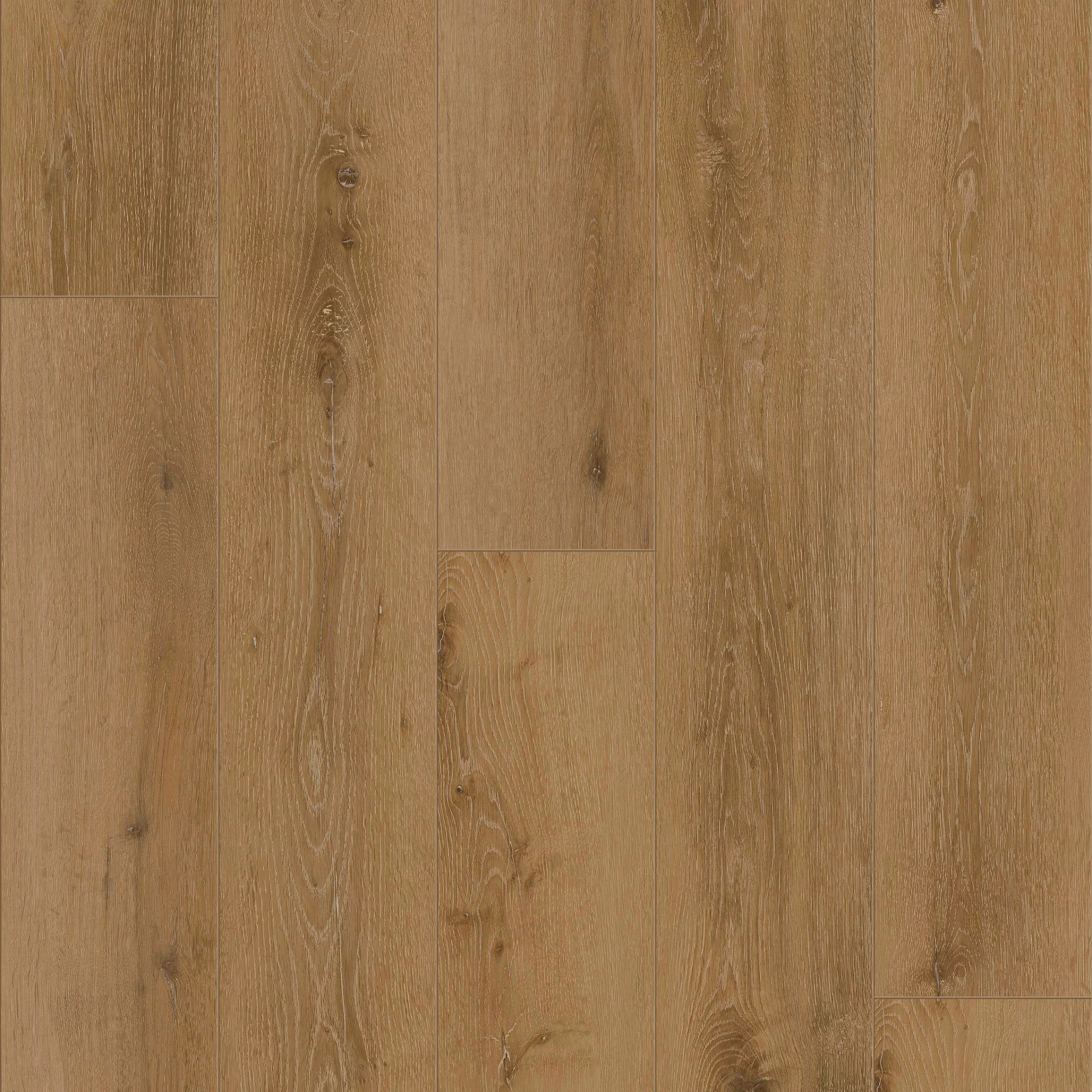 Coretec Authentics Regina Plank Click