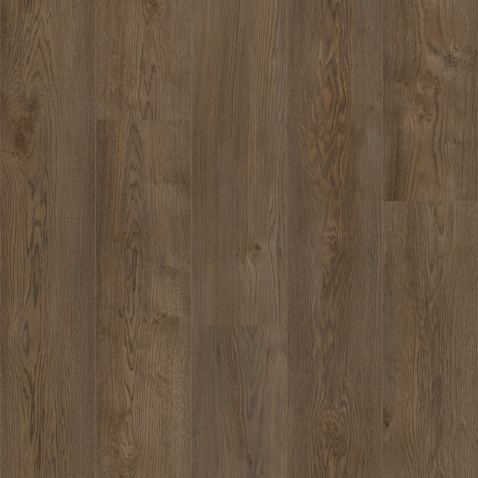 Coretec Naturals Elon Plank XL Click