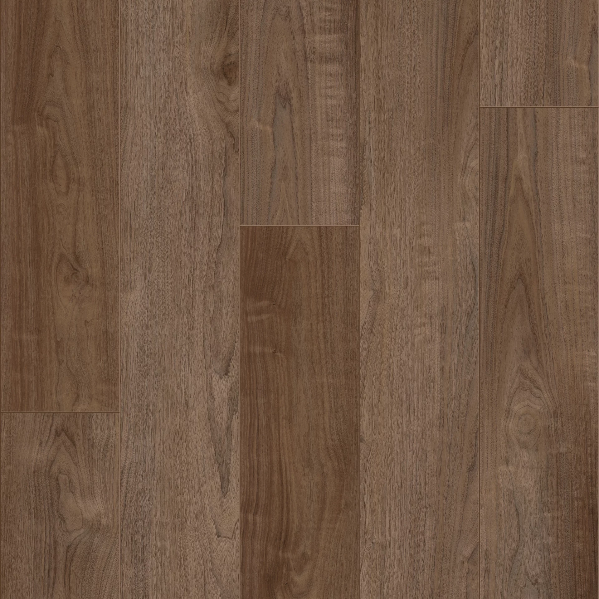 Coretec ProPlus Kingdom Plank XL Click