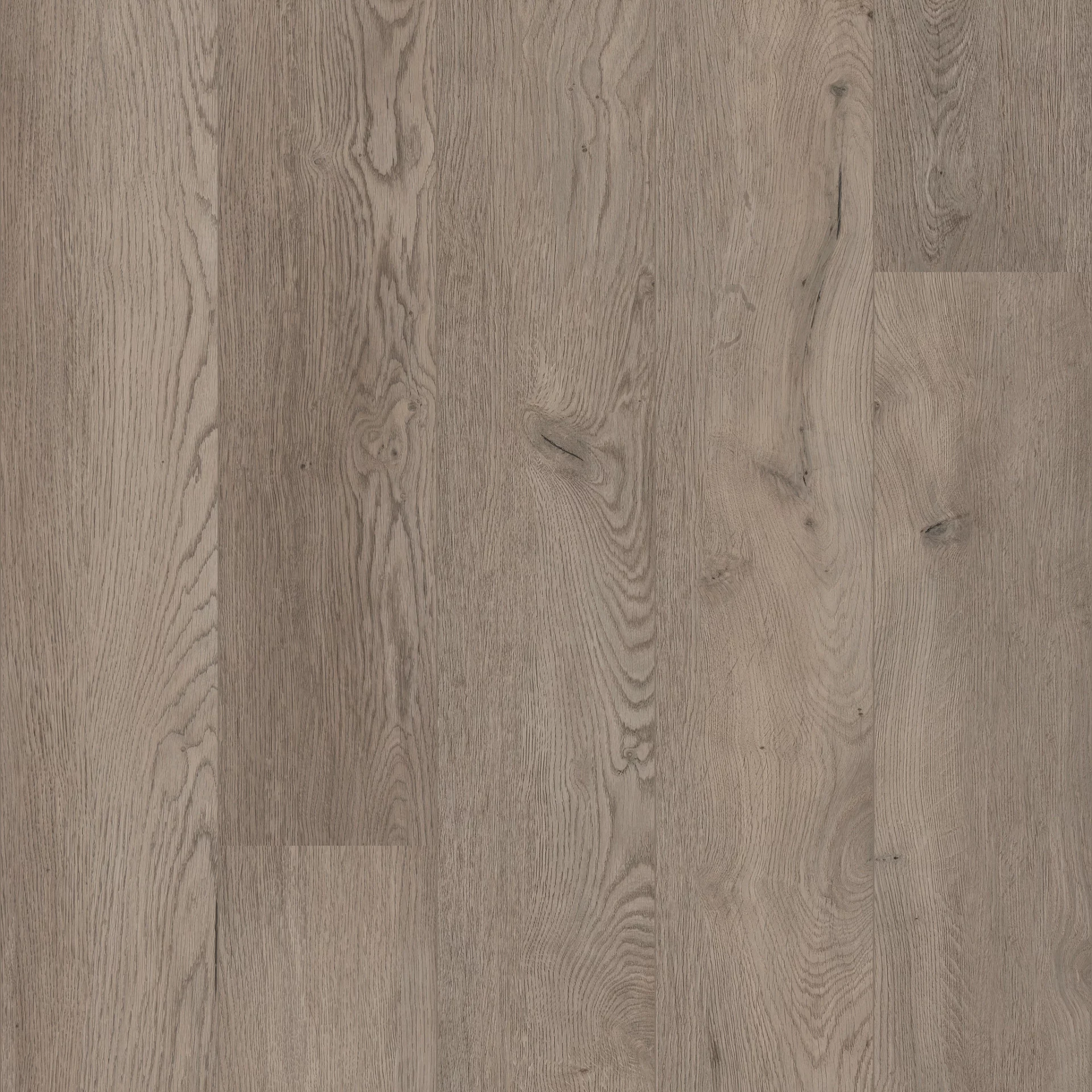 Coretec XL-END Belvoir Plank XL Click