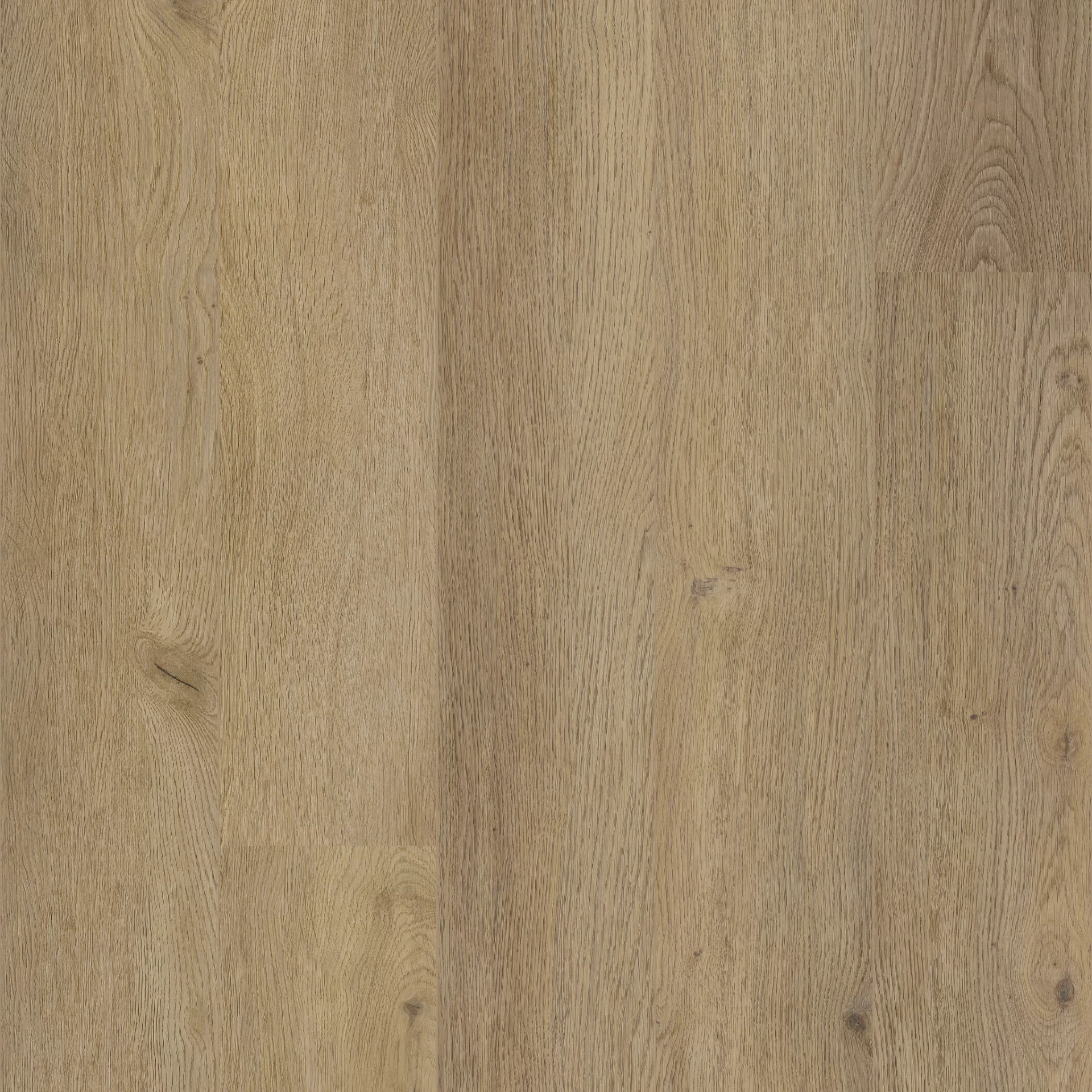 Coretec XL-END Montclair Plank XL Click