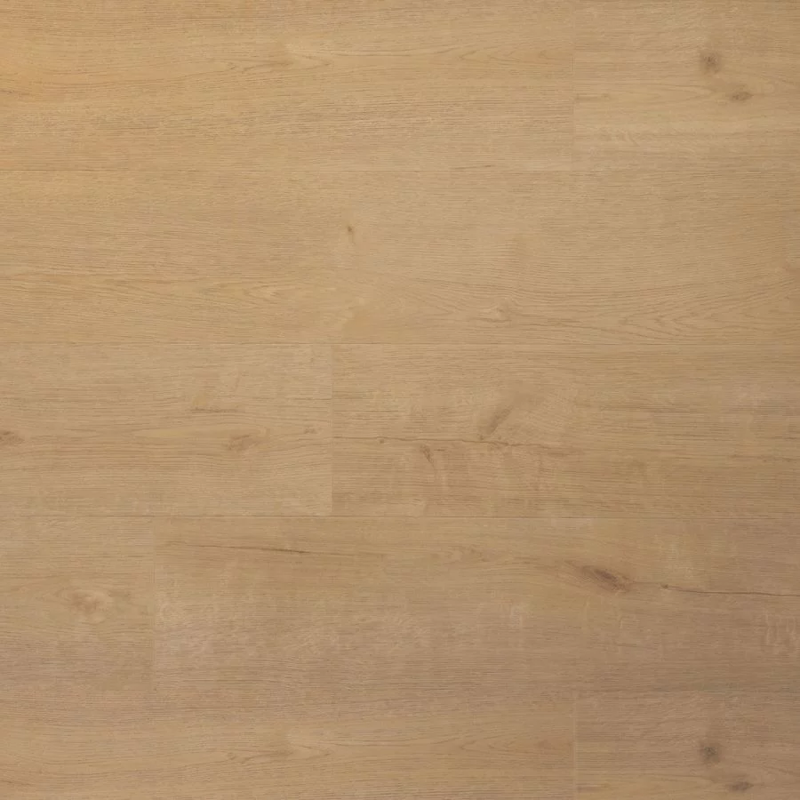 Douwes Dekker Plank biscuit Dryback