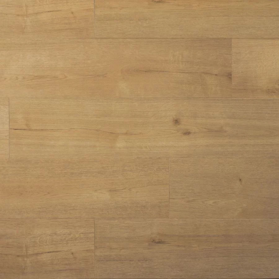 Douwes Dekker Plank kletskop Click