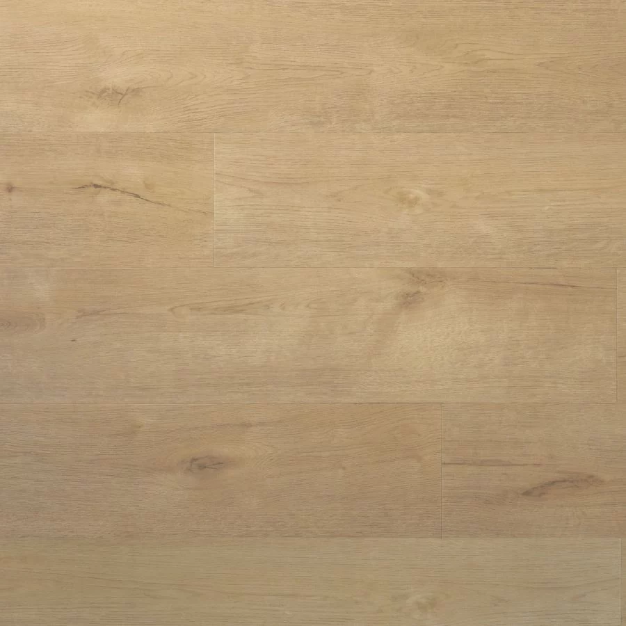 Douwes Dekker Plank sprits Dryback