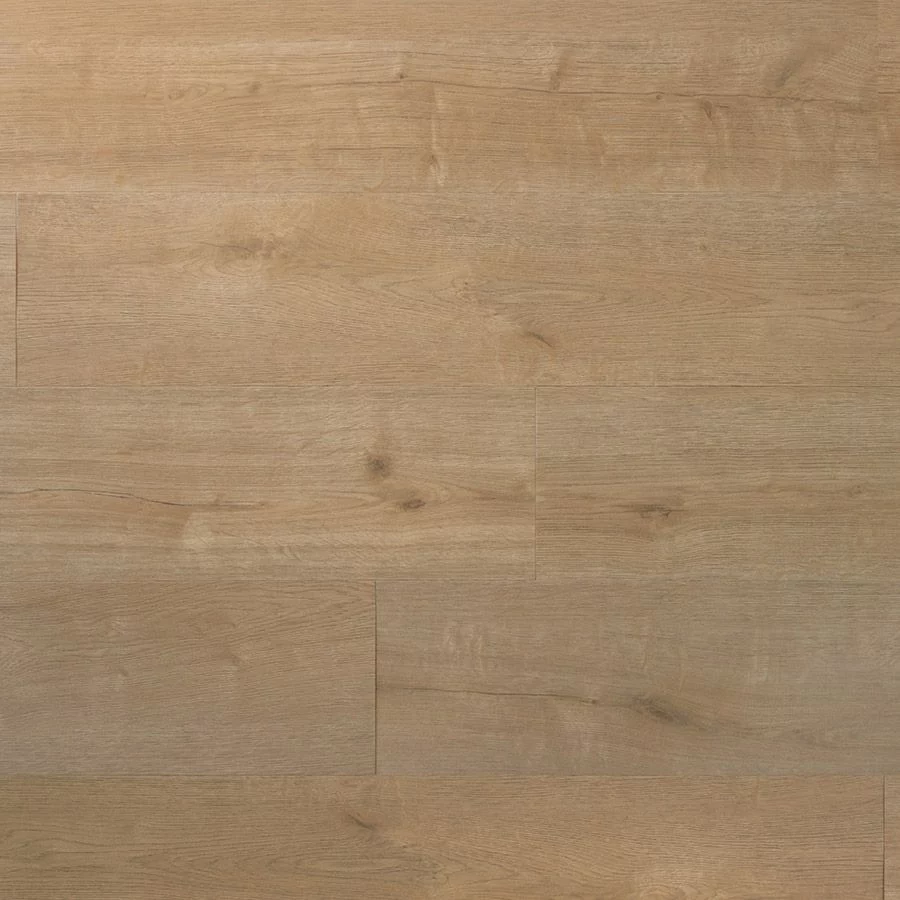 Douwes Dekker Plank wafel Dryback