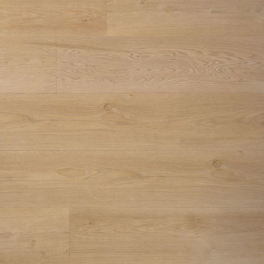 Douwes Dekker Riante plank boterkoek Dryback