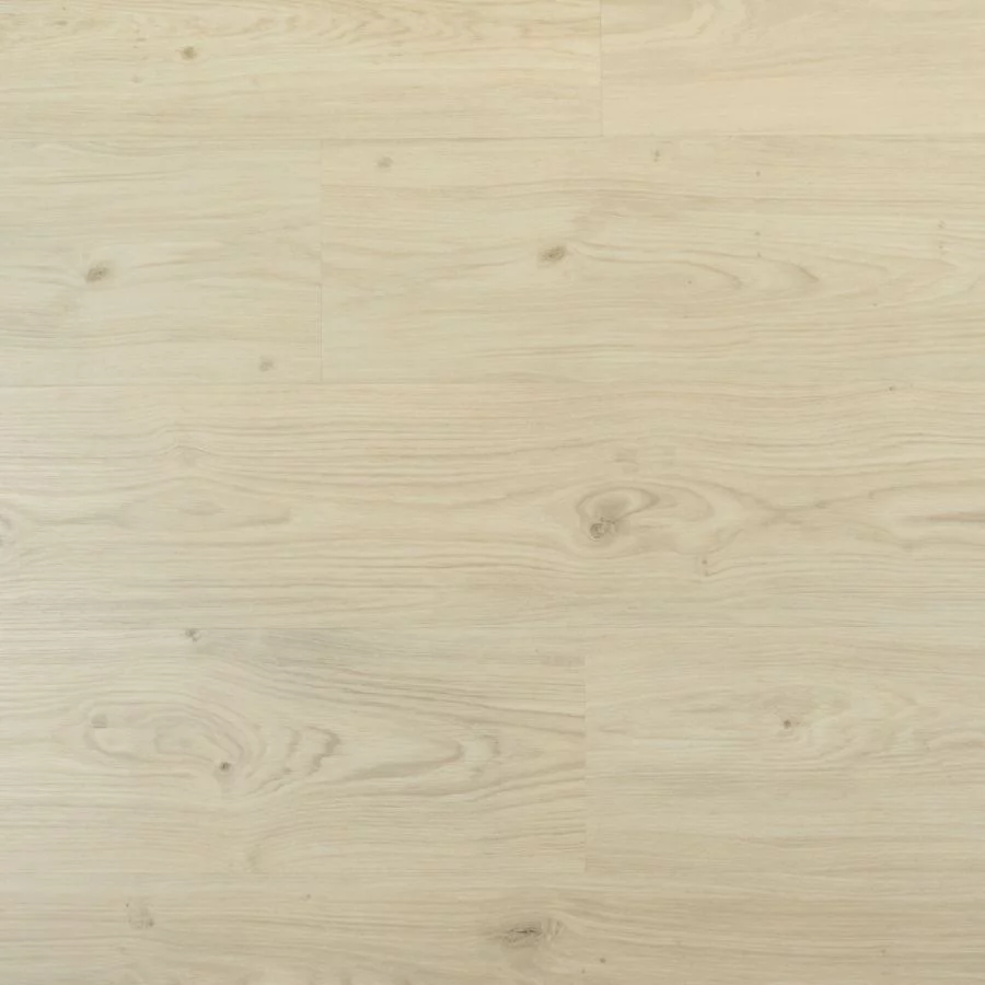 Douwes Dekker Riante plank cheesecake Dryback