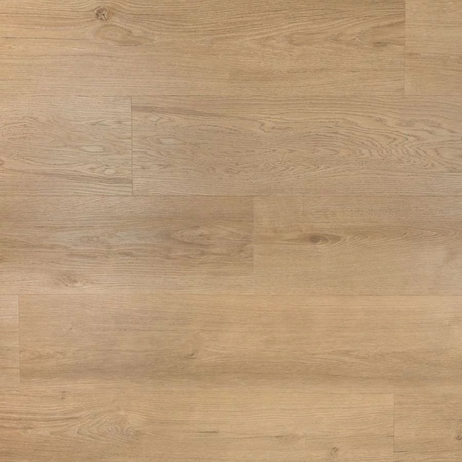 Douwes Dekker Riante plank gemberkoek Click
