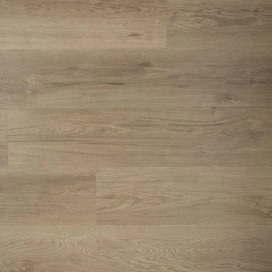 Douwes Dekker Riante plank spekkoek Click