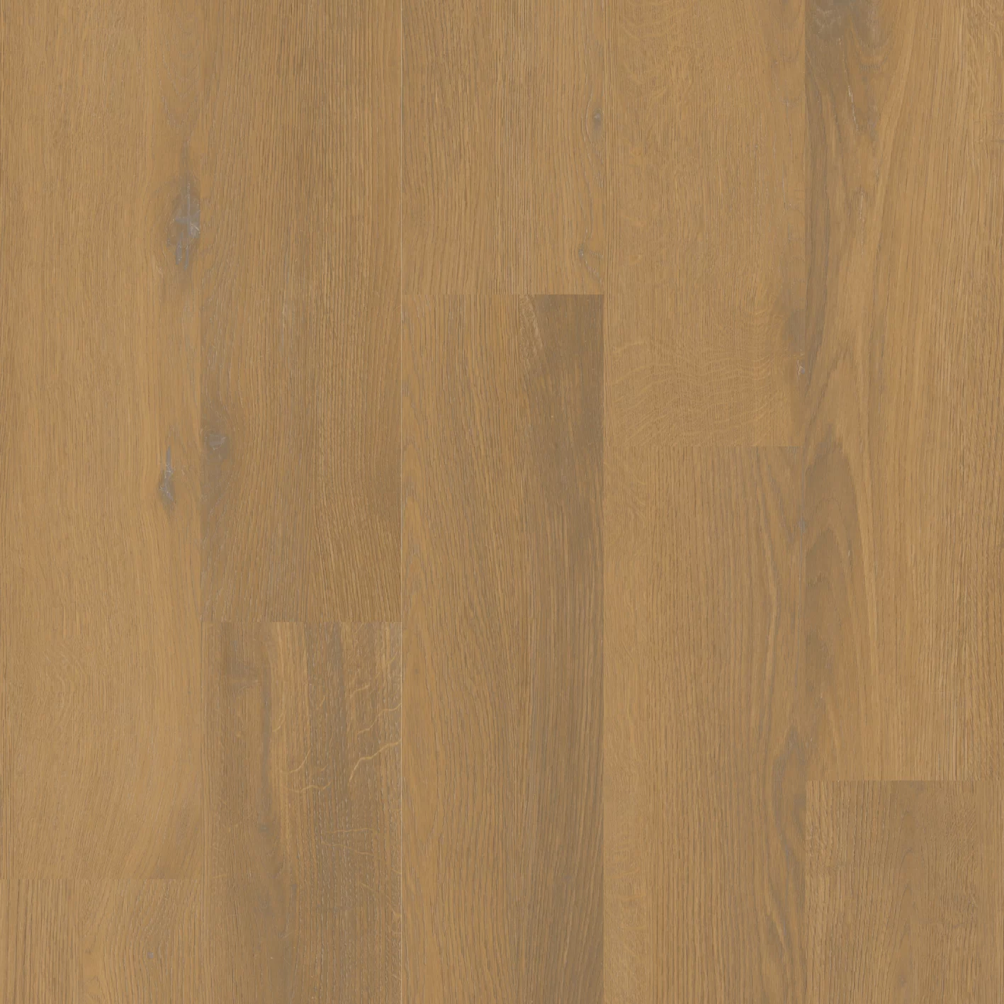 Het Vloeren Magazijn HVM0113 Plank XL Dryback