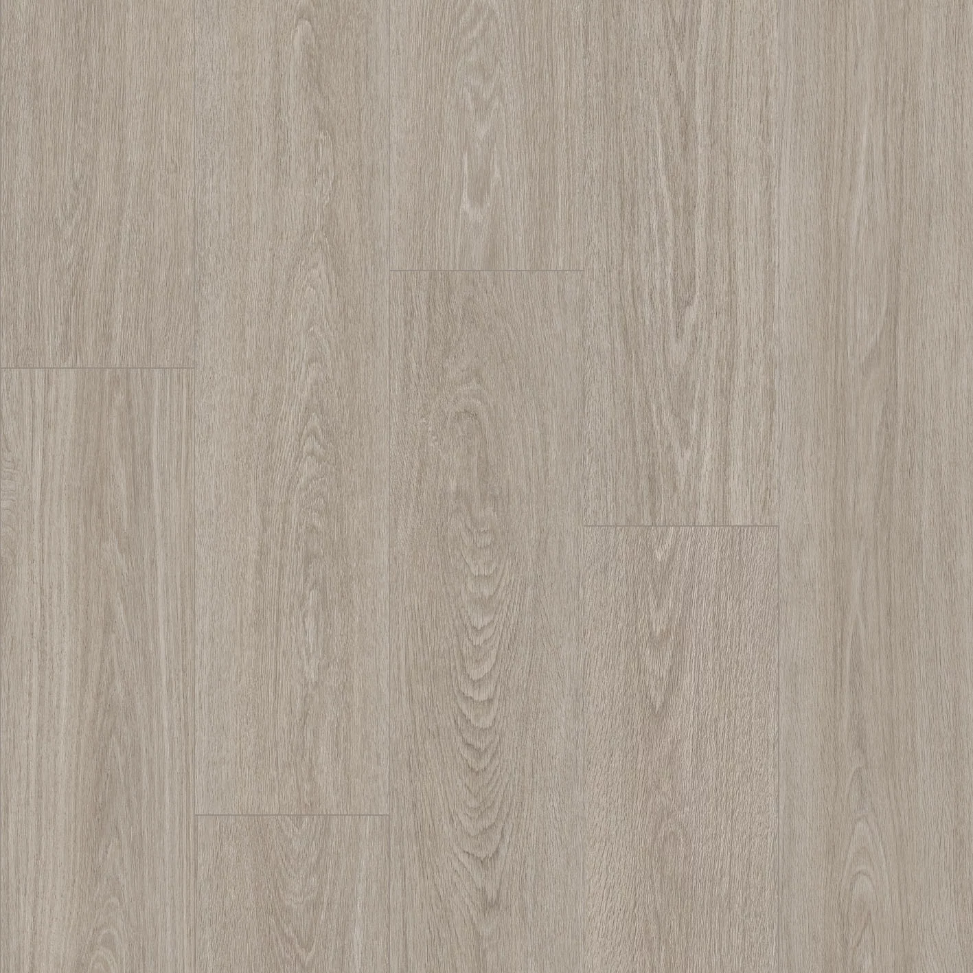 Floorify Bunny Plank Click