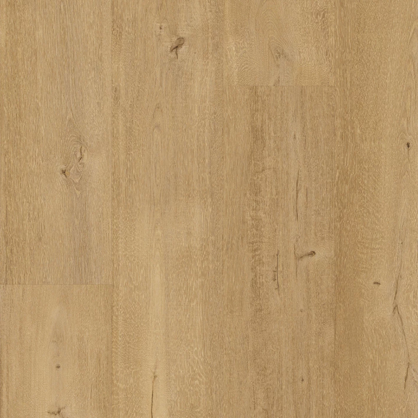 Floorify Frangipane Plank XL Click