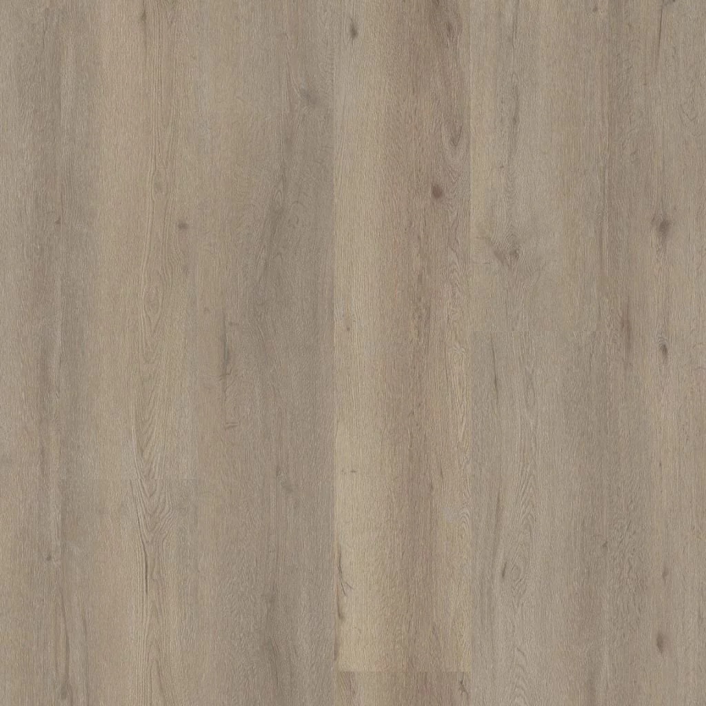 Ambiant Vivero light oak Plank XL Click