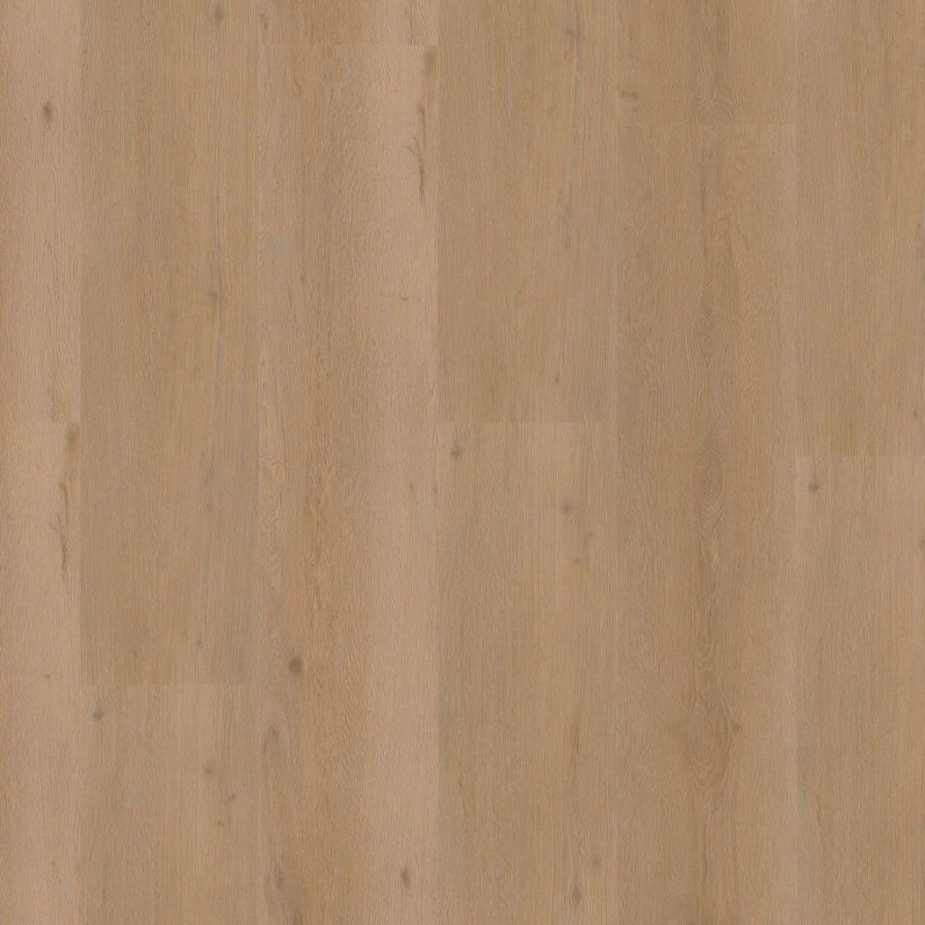 Ambiant Vivero warm oak Plank XL Dryback