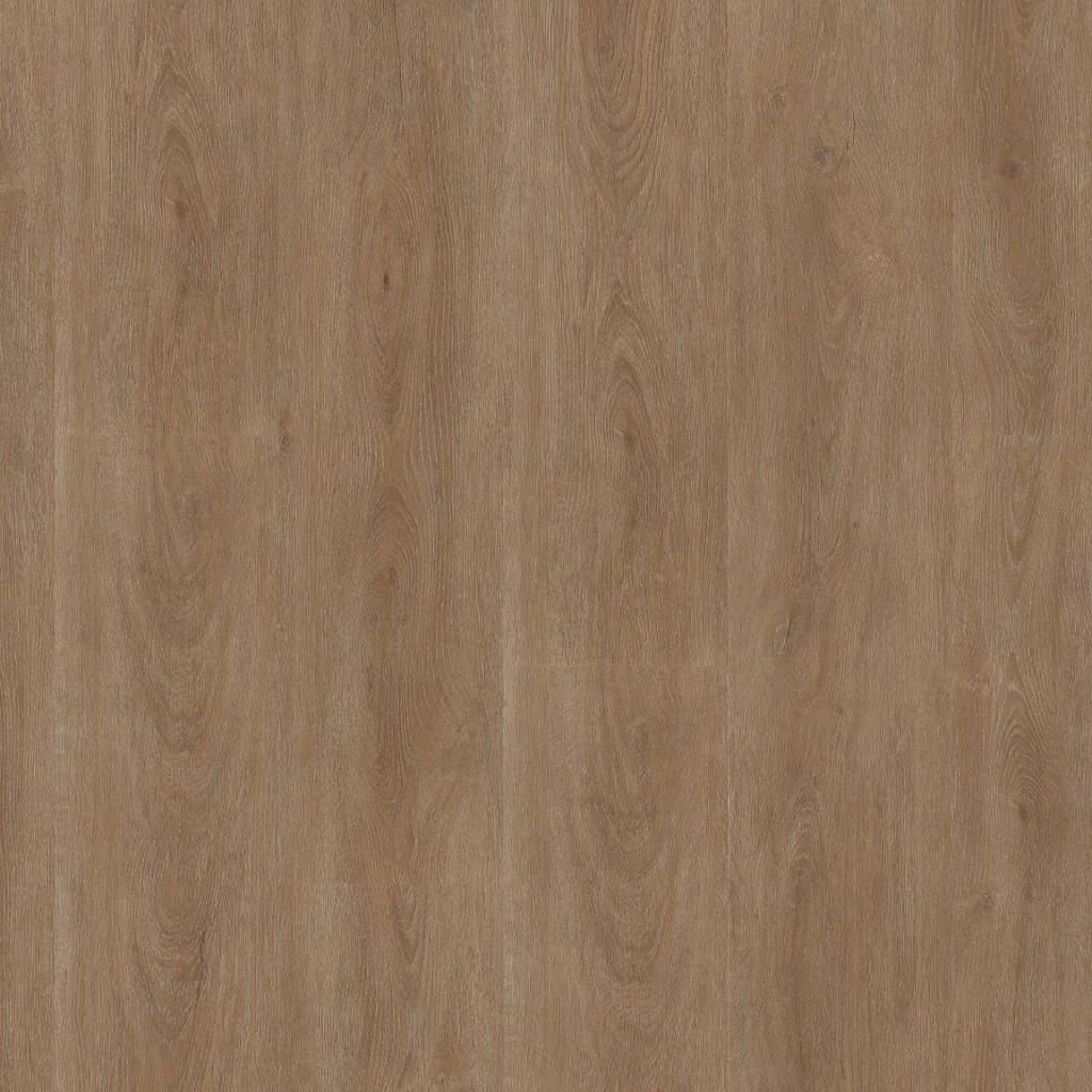 Ambiant Robusto dark oak Plank XL Click