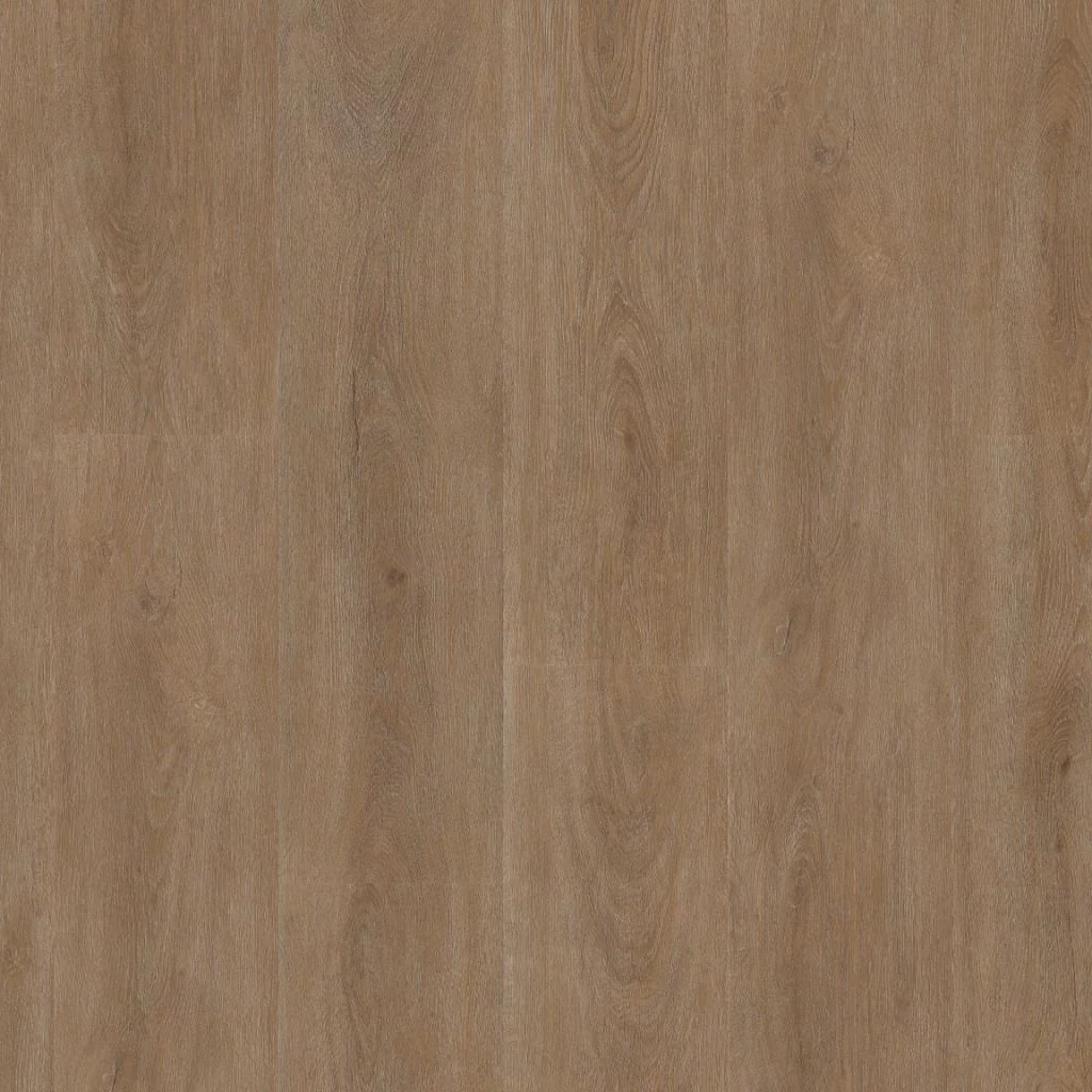 Ambiant Robusto dark oak Plank XL Dryback