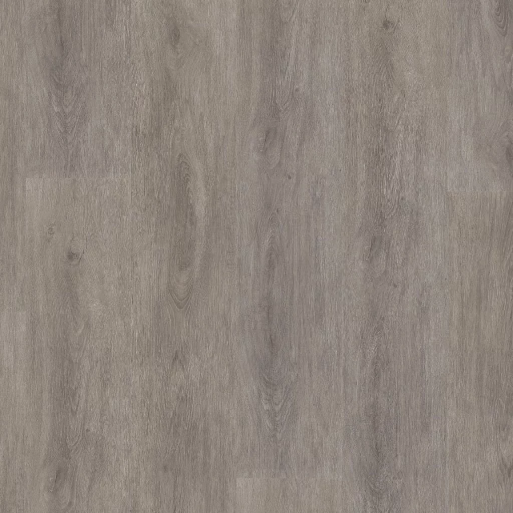 Ambiant Robusto grey oak Plank XL Click