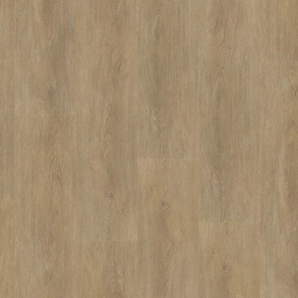 Ambiant Robusto natural oak Plank XL Click