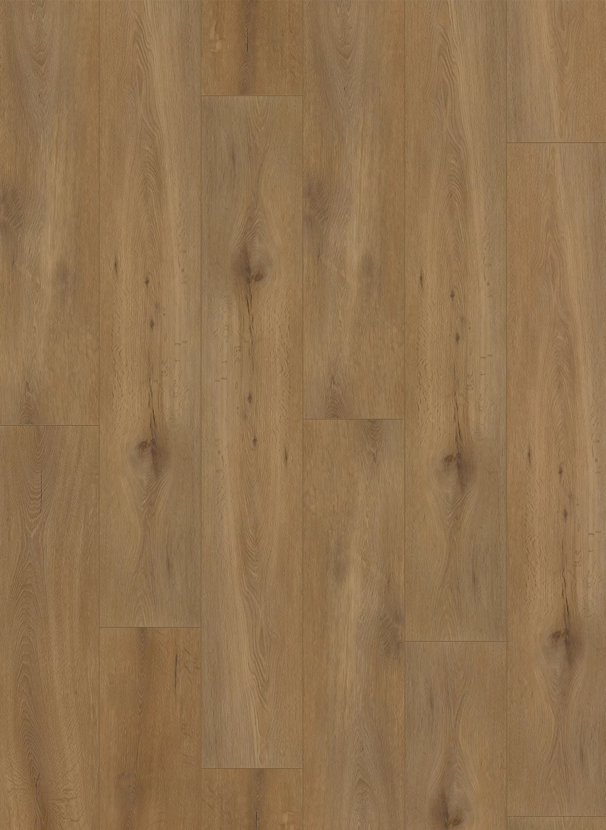 Gelasta Callisto 4100 Natural Oak Dark Plank XL Dryback