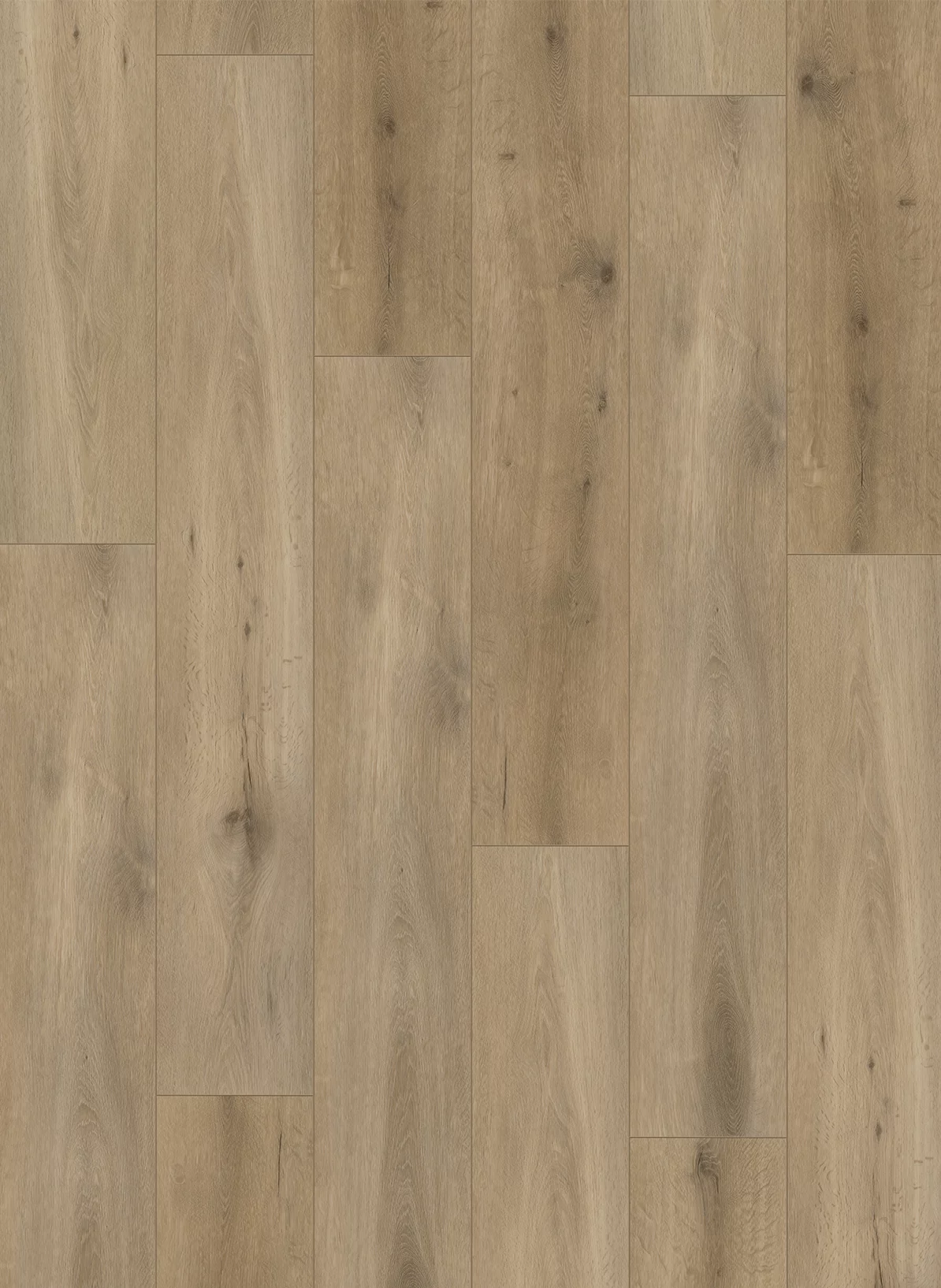Gelasta Callisto 4103 Natural Oak Smoked Plank XL Dryback