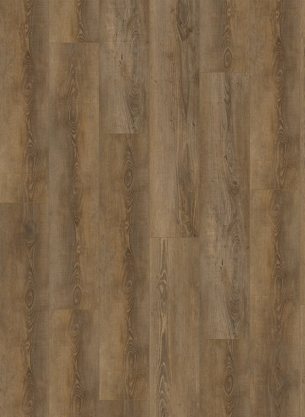 Gelasta City 4604 Olympia Pine Natural Plank Dryback