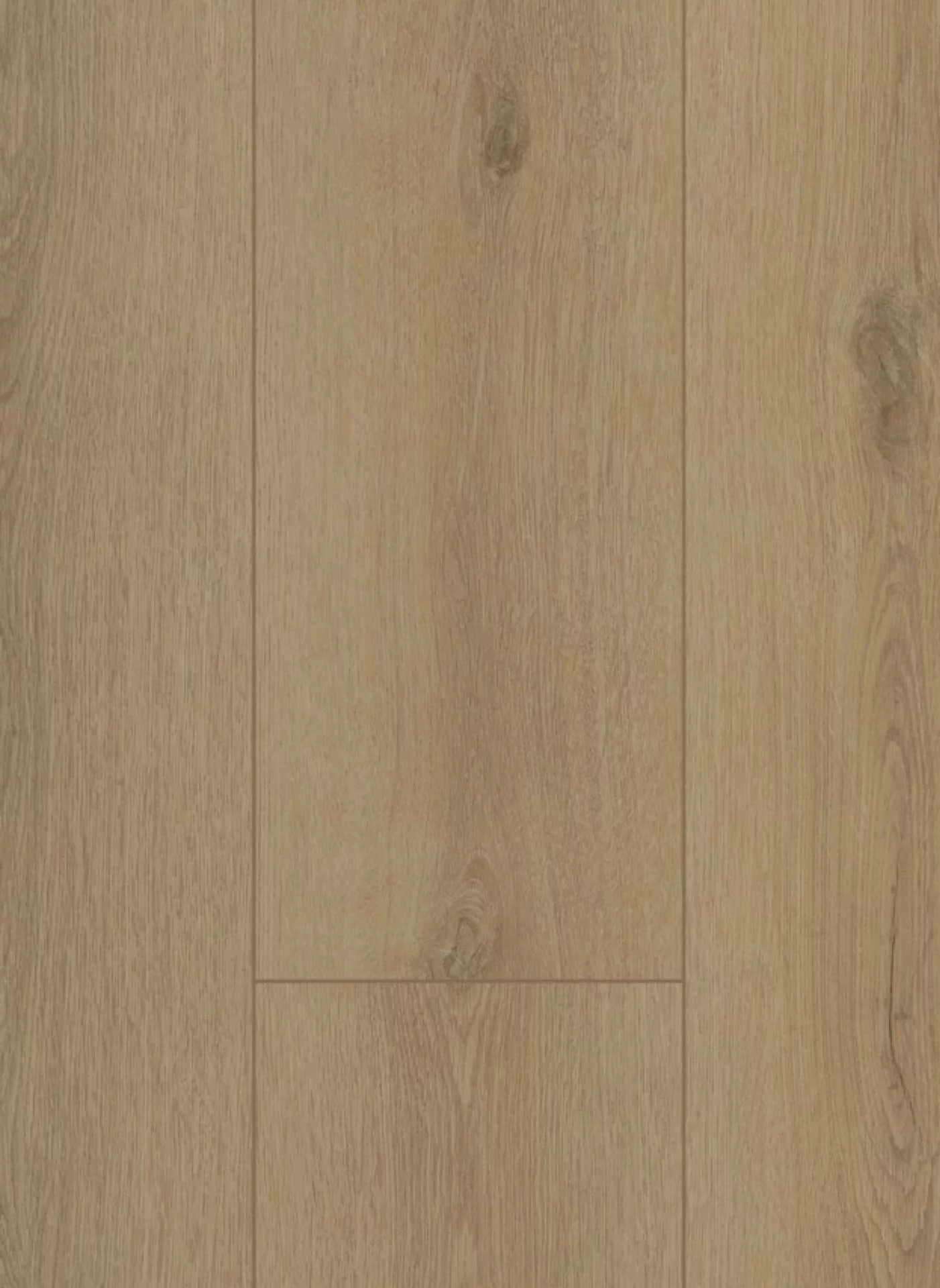 Gelasta Firmfit 6501 Sierra Beige Plank XL Dryback