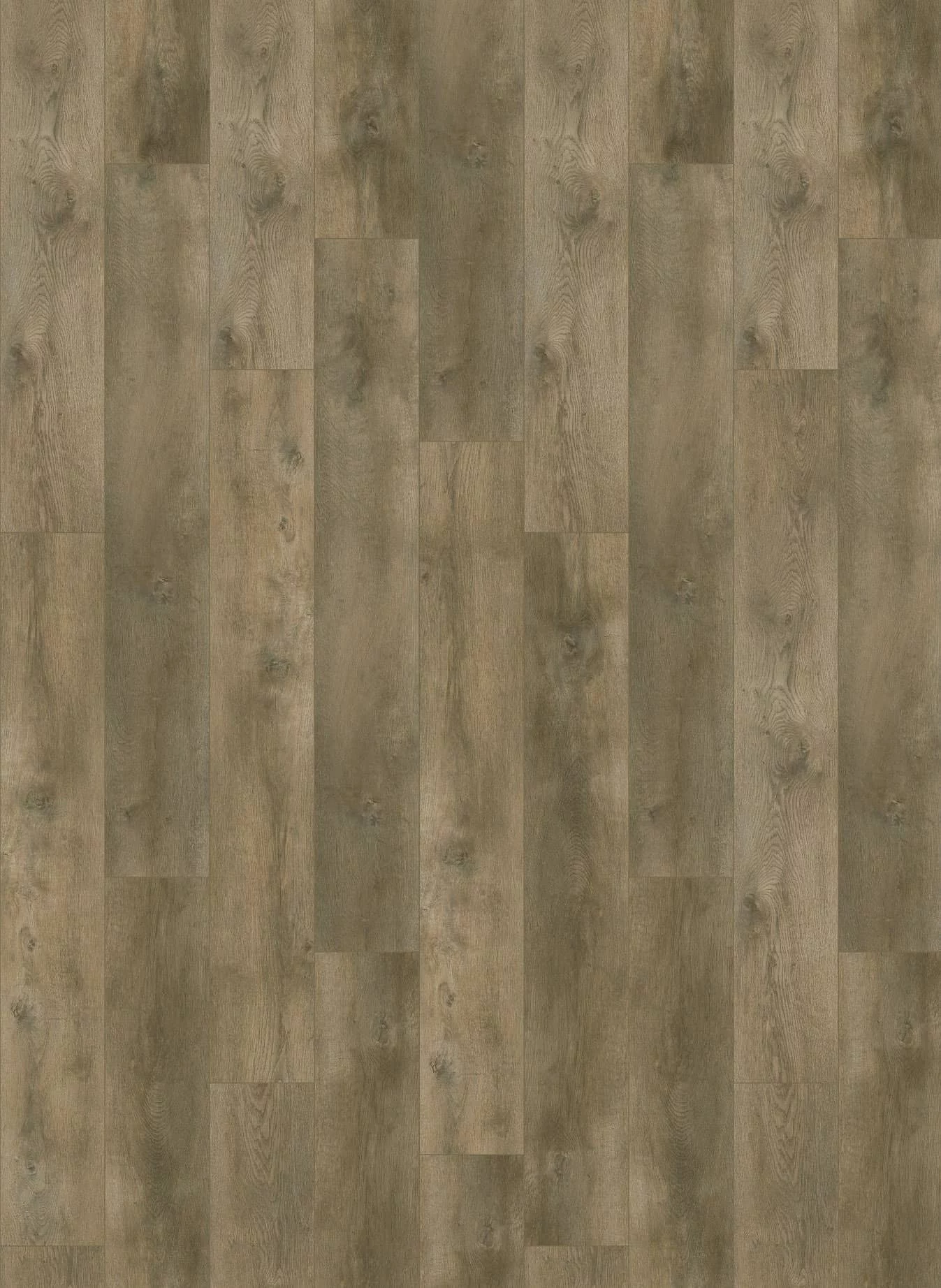 Gelasta Nevada 6001 Valley Oak Pepper Plank XL Dryback