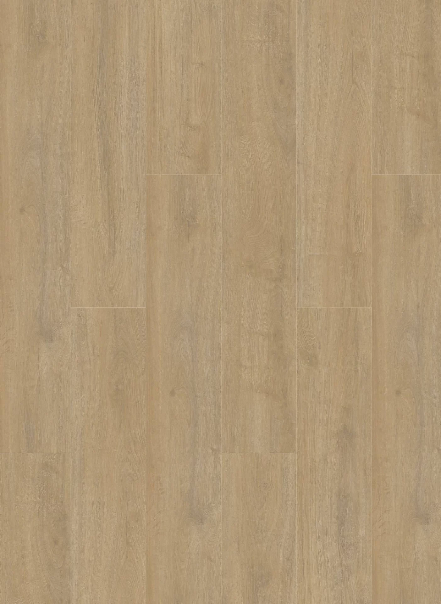 Gelasta Oakland 6100 Lime Plank XL Dryback