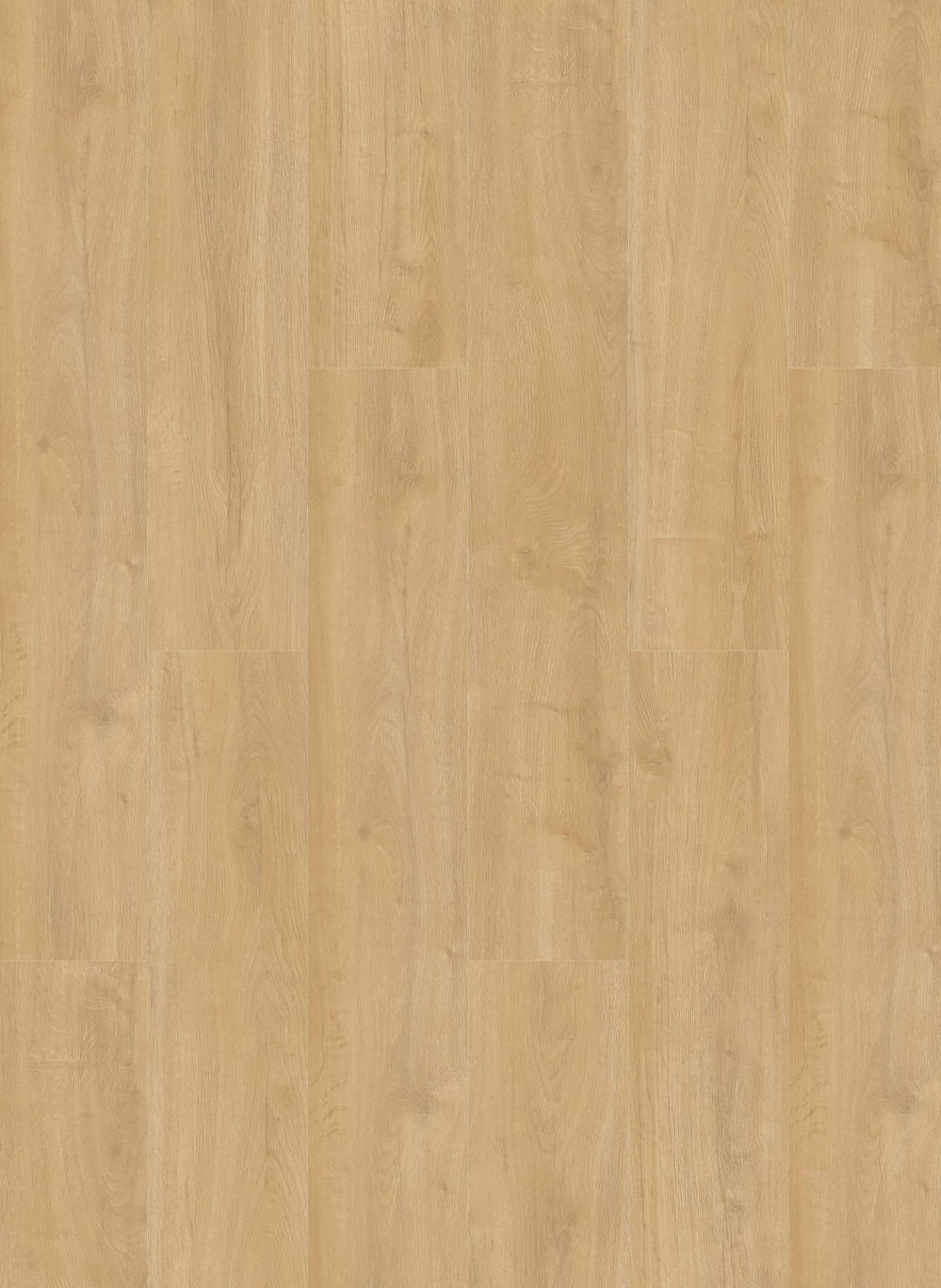 Gelasta Oakland 7102 Desert Plank XL Click