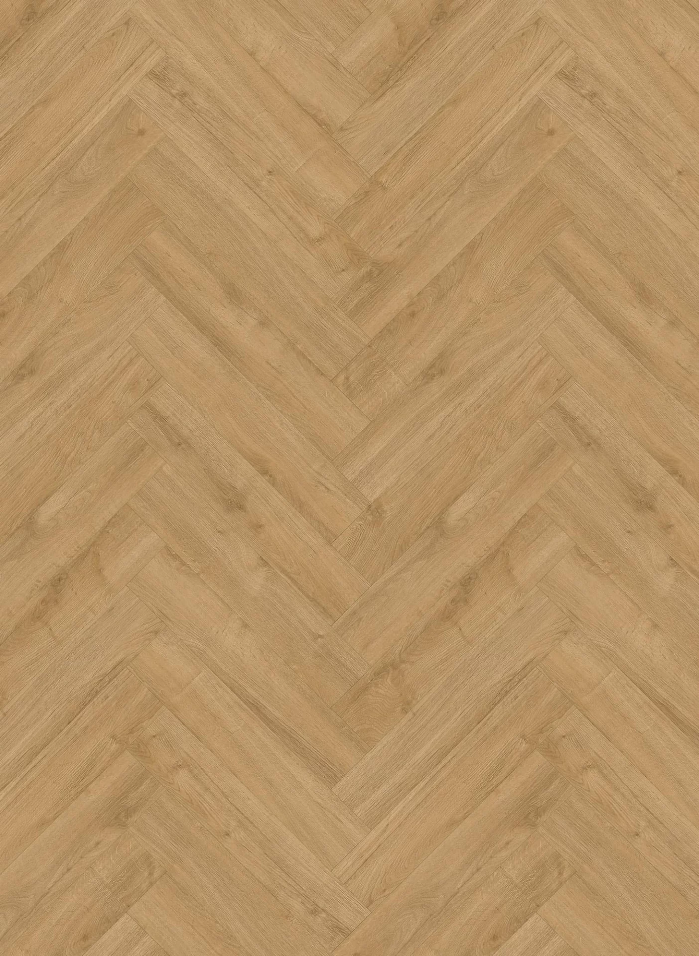 Gelasta Oakland 7201 Naturel Visgraat Click