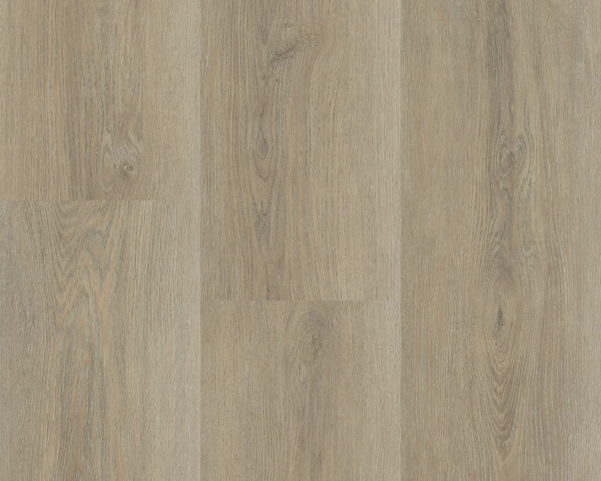 Hebeta Charente 5445 Naturel eiken grijs Plank XL Dryback