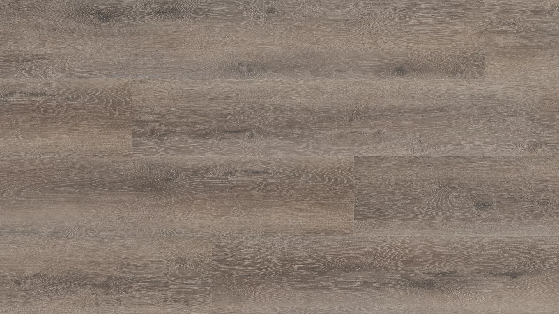 Hebeta Progress 54818 Warm bruin Plank XL Dryback