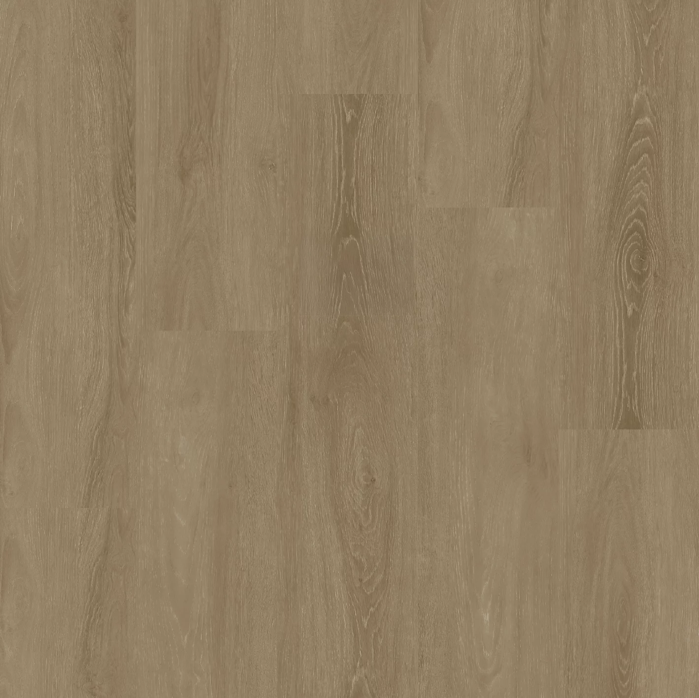 Floor Branding Blend Grande Lungo Walvisgraat Dryback