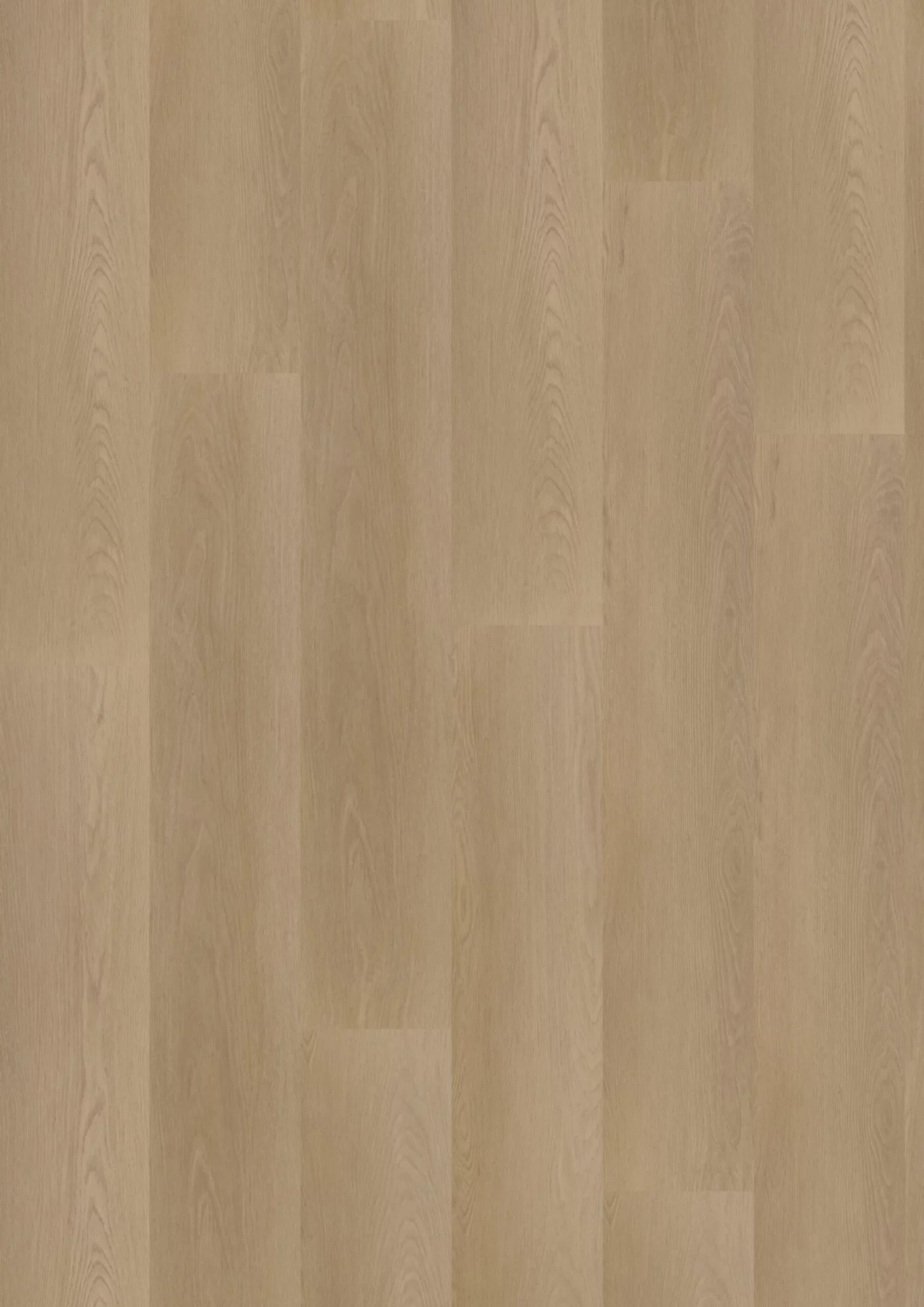 Hoomline Georgia 6 Plank XL Dryback