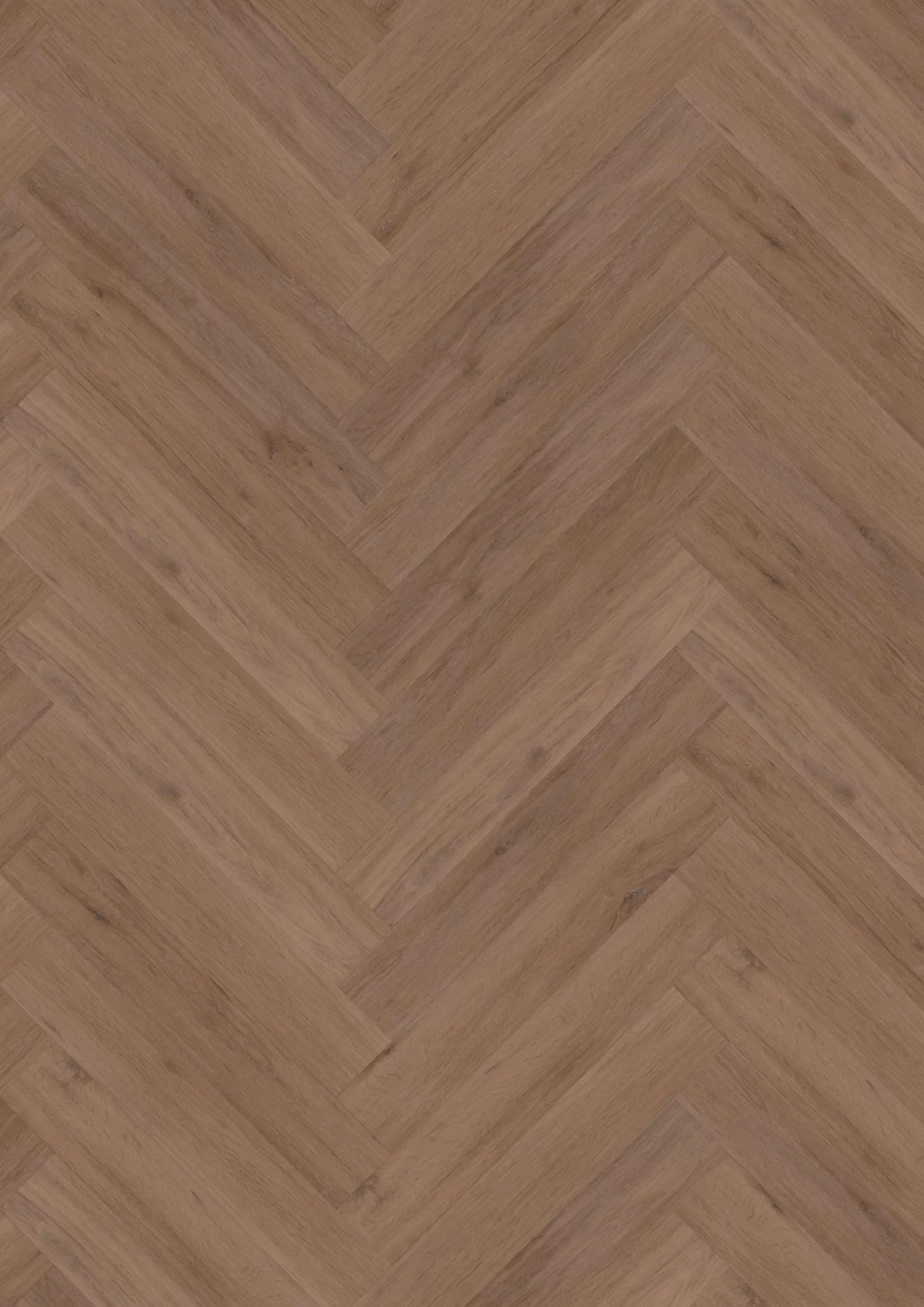Hoomline Gotham Oak Honey Visgraat XL Dryback