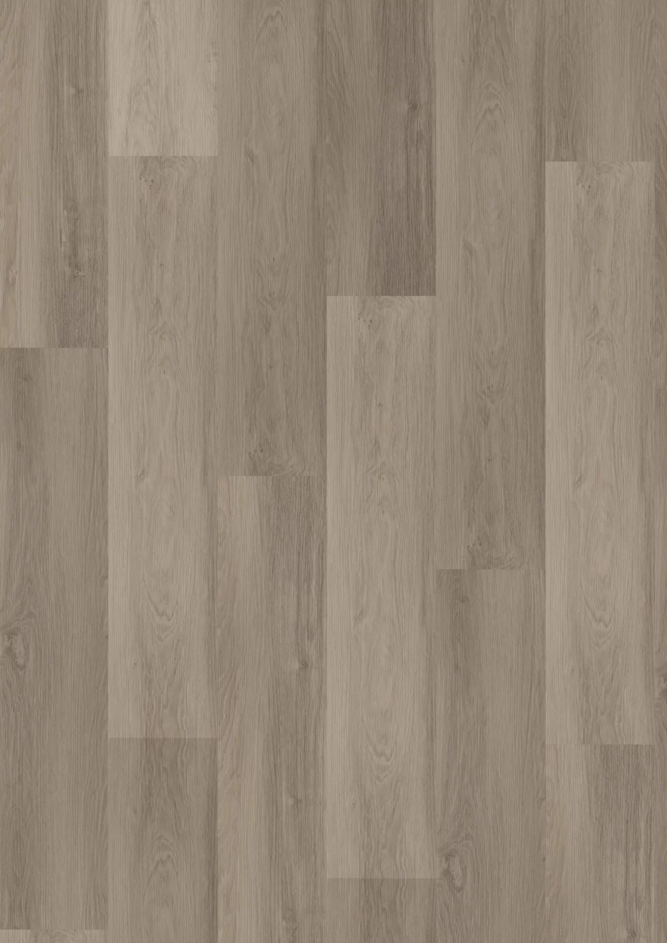 Hoomline Krokus 20014 Plank Dryback