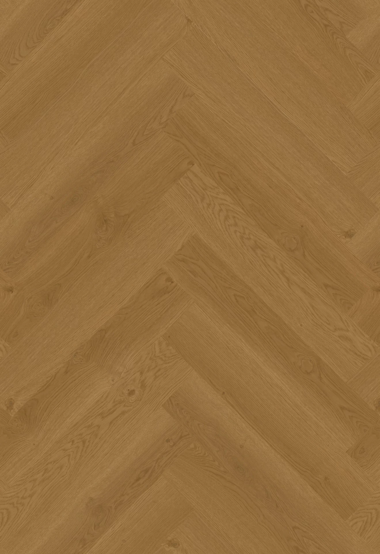 Hoomline Leeuw 51317 Visgraat XL Dryback