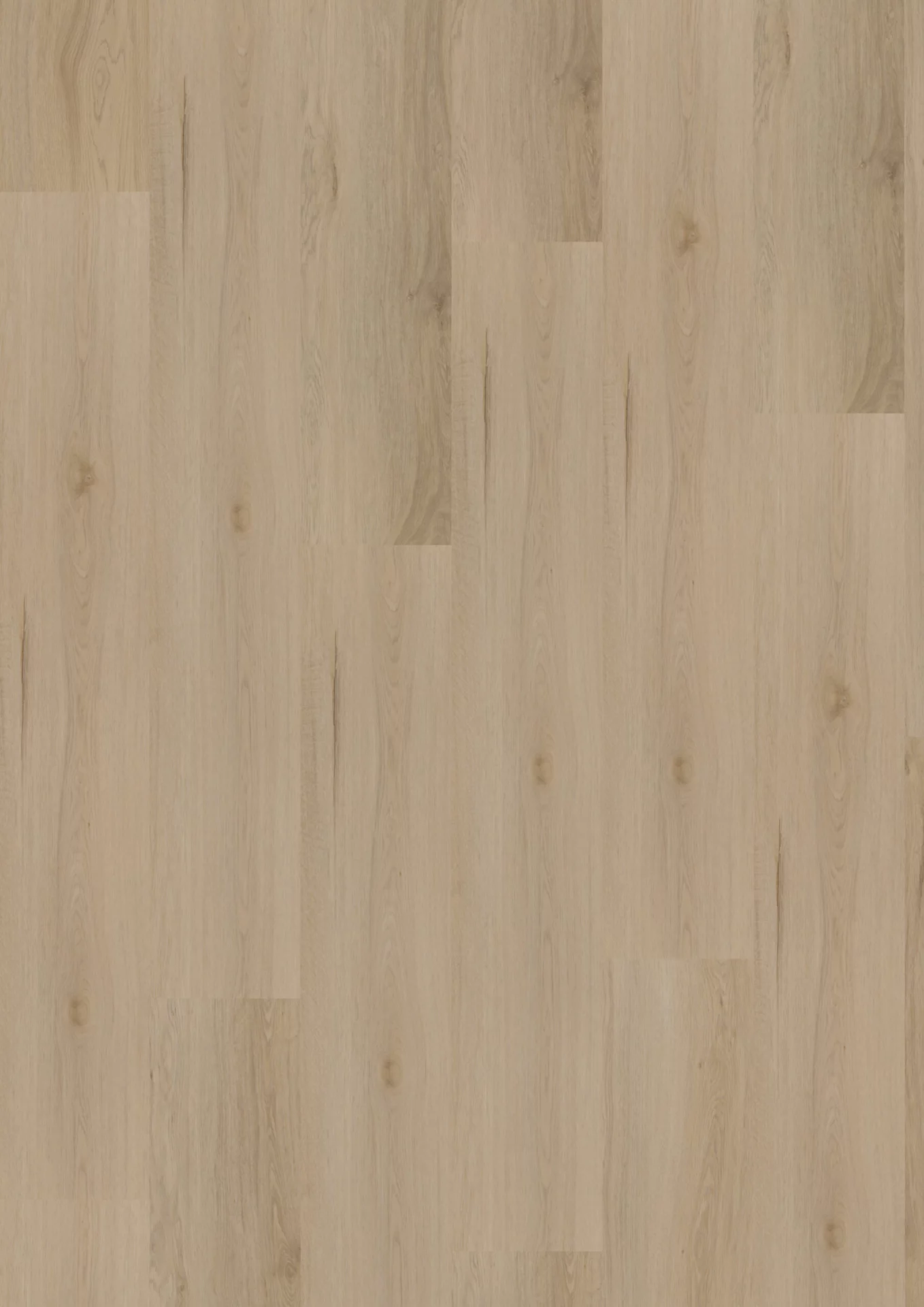 Hoomline Maryland 31 Plank XL Dryback