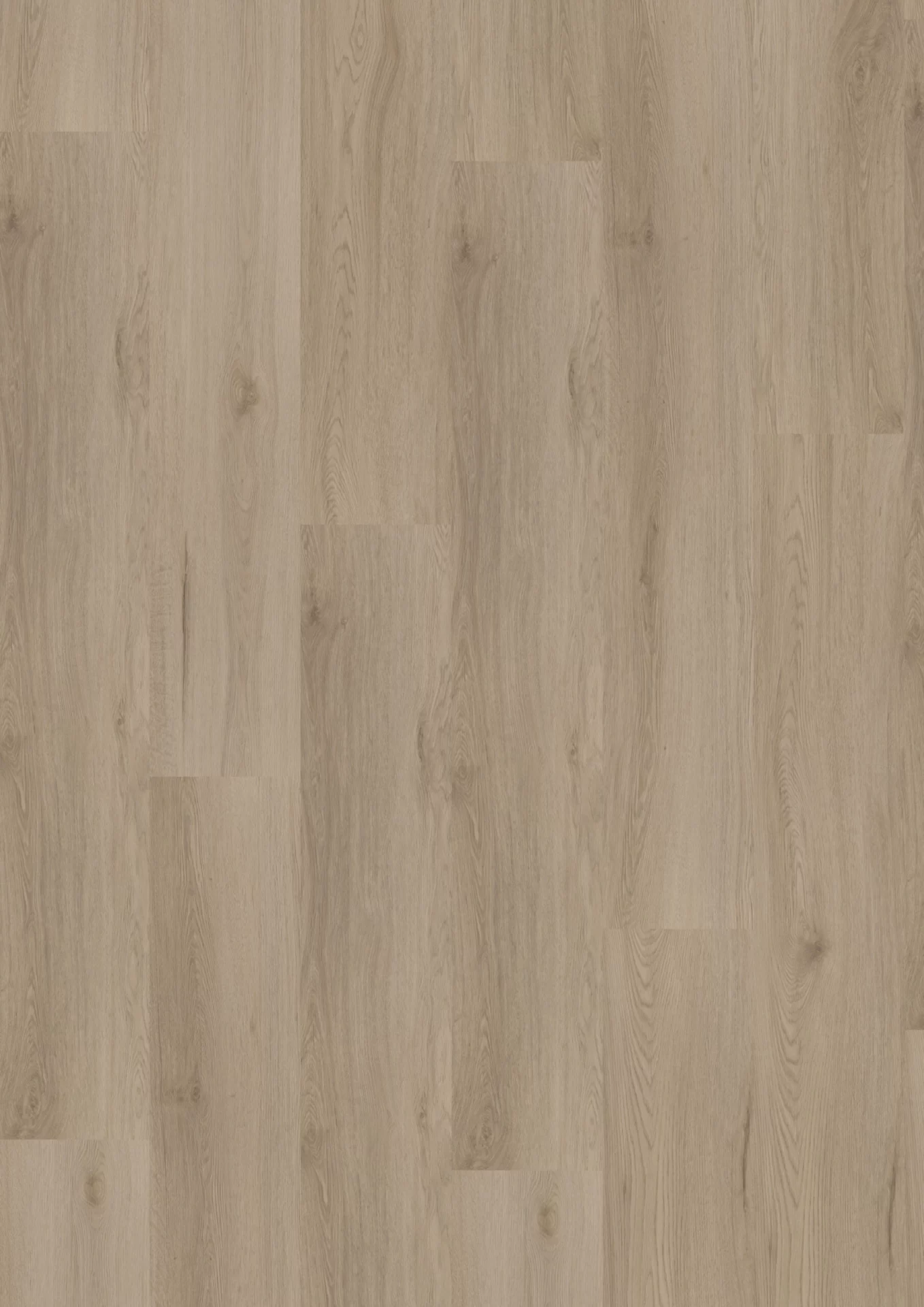 Hoomline Missouri 63 Plank XL Dryback