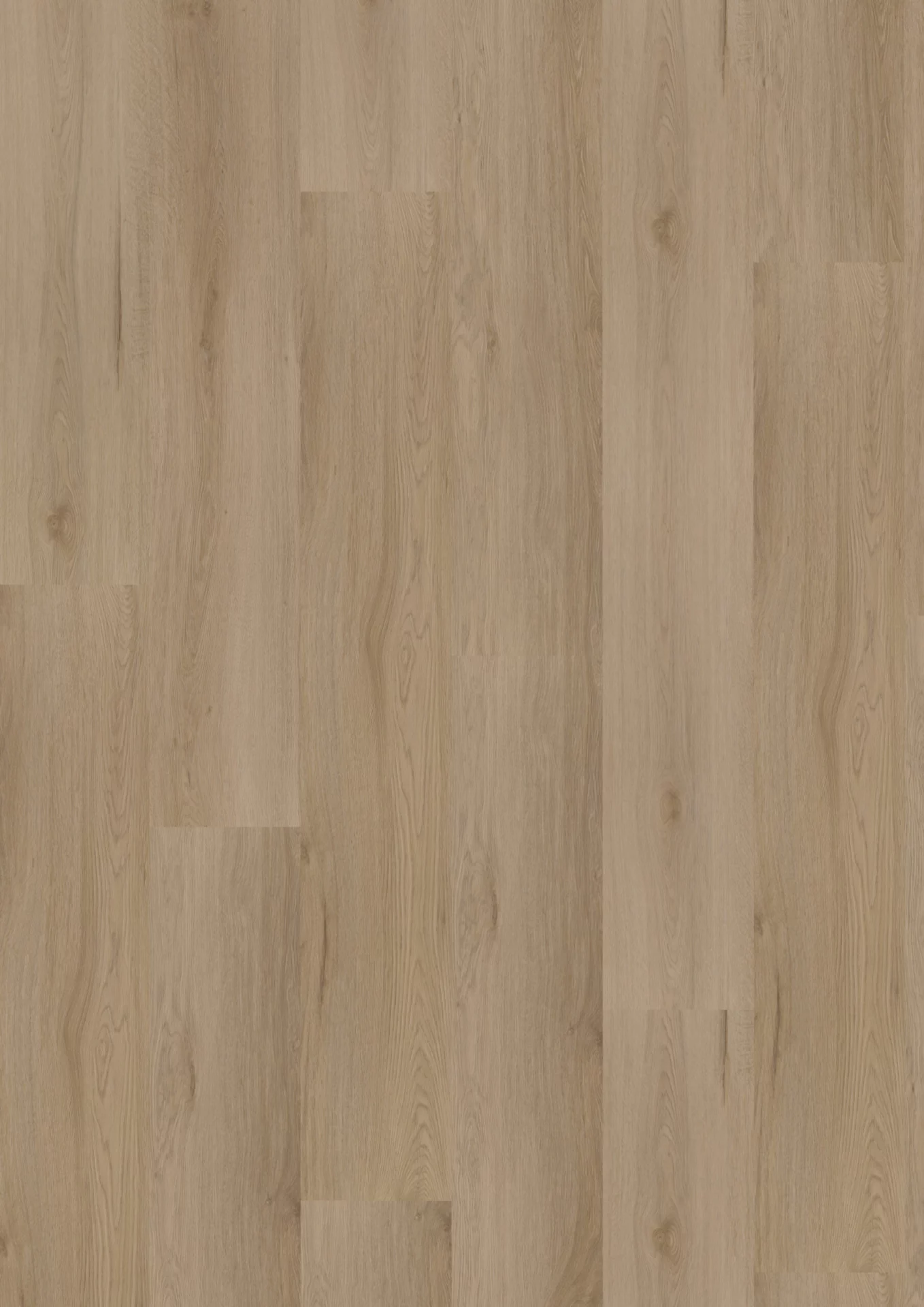 Hoomline Montana 61 Plank XL Dryback