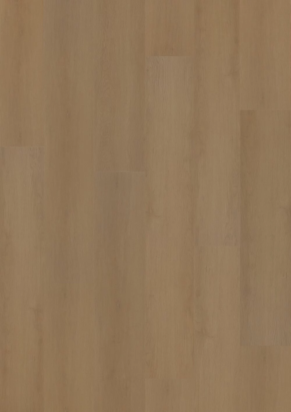 Hoomline Plank Amalfi 5053 Plank XL Click